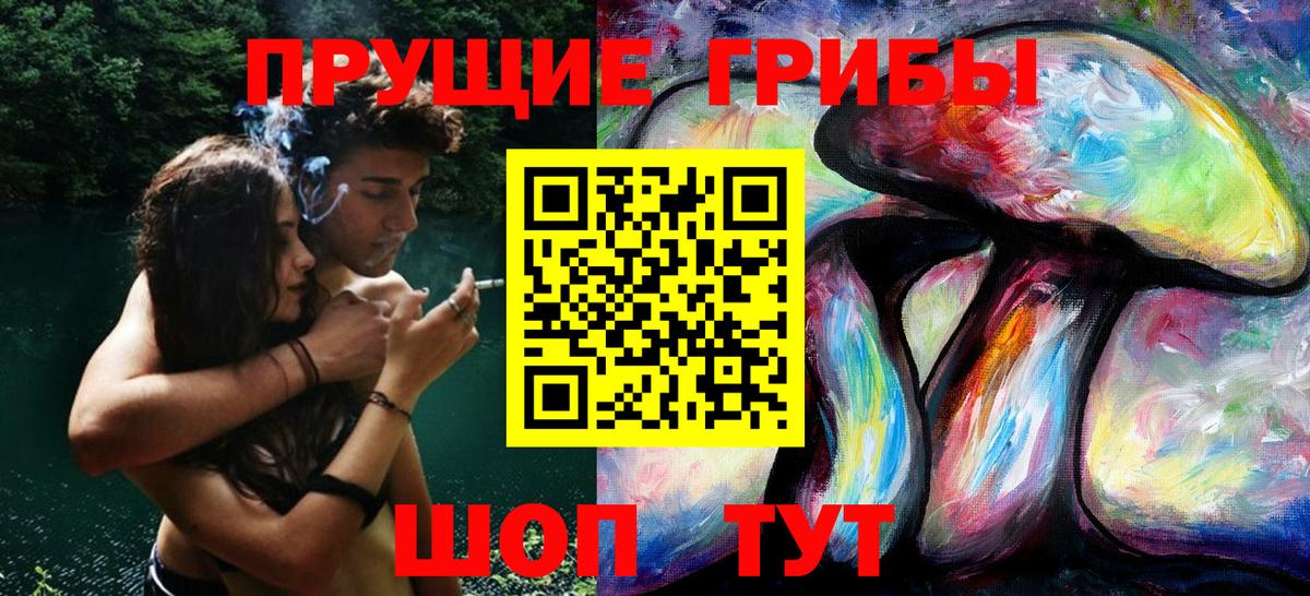 Галлюциногенные грибы MAGIC MUSHROOMS  Псилоцибиновые грибы GOLDEN TEACHER  Искитим  Вход с VPN 